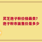 灵芝孢子粉价格最贵？孢子粉市面售价是多少