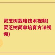 灵芝树栽培技术视频(灵芝树简单培育方法视频)