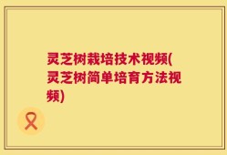 灵芝树栽培技术视频(灵芝树简单培育方法视频)