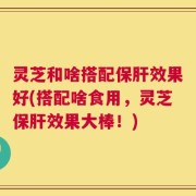 灵芝和啥搭配保肝效果好(搭配啥食用，灵芝保肝效果大棒！)