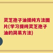 灵芝孢子油提纯方法图片(学习提纯灵芝孢子油的简易方法)