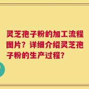 灵芝孢子粉的加工流程图片？详细介绍灵芝孢子粉的生产过程？