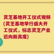 灵芝基地开工仪式视频(灵芝基地举行盛大开工仪式，标志灵芝产业迈向新高度)