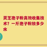 灵芝孢子粉高效收集技术？一斤孢子粉放多少水