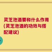 灵芝泡酒要和什么作用(灵芝泡酒的功效与搭配建议)