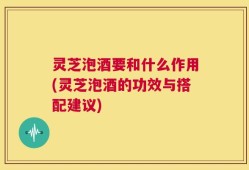 灵芝泡酒要和什么作用(灵芝泡酒的功效与搭配建议)