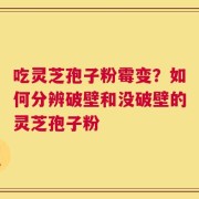 吃灵芝孢子粉霉变？如何分辨破壁和没破壁的灵芝孢子粉