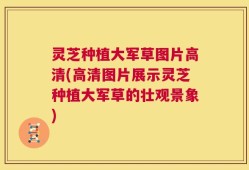 灵芝种植大军草图片高清(高清图片展示灵芝种植大军草的壮观景象)