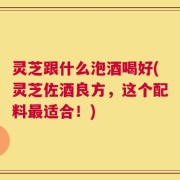灵芝跟什么泡酒喝好(灵芝佐酒良方，这个配料最适合！)