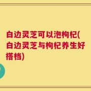 白边灵芝可以泡枸杞(白边灵芝与枸杞养生好搭档)