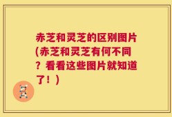 赤芝和灵芝的区别图片(赤芝和灵芝有何不同？看看这些图片就知道了！)