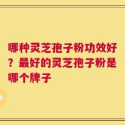 哪种灵芝孢子粉功效好？最好的灵芝孢子粉是哪个牌子