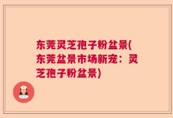 东莞灵芝孢子粉盆景(东莞盆景市场新宠：灵芝孢子粉盆景)