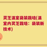 灵芝温室袋装栽培(温室内灵芝栽培：袋装新技术)