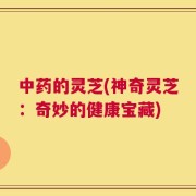 中药的灵芝(神奇灵芝：奇妙的健康宝藏)