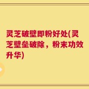 灵芝破壁即粉好处(灵芝壁垒破除，粉末功效升华)