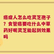 癌症人怎么吃灵芝孢子？食管癌要吃什么中草药好呢灵芝能起到效果吗