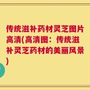 传统滋补药材灵芝图片高清(高清图：传统滋补灵芝药材的美丽风景)