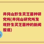 井冈山野生灵芝菌种研究所(井冈山研究所发现野生灵芝菌种的新闻报道)