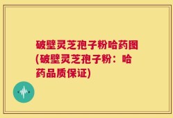 破壁灵芝孢子粉哈药图(破壁灵芝孢子粉：哈药品质保证)