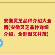 安徽灵芝品种介绍大全图(安徽灵芝品种详细介绍，全部图文并茂)