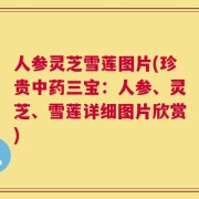 人参灵芝雪莲图片(珍贵中药三宝：人参、灵芝、雪莲详细图片欣赏)