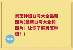 灵芝种植口号大全最新图片(最新口号大全和图片：让你了解灵芝种植！)