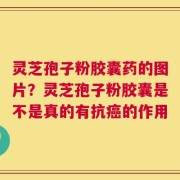 灵芝孢子粉胶囊药的图片？灵芝孢子粉胶囊是不是真的有抗癌的作用