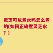 灵芝可以煮水吗怎么煮的(如何正确煮灵芝水？)