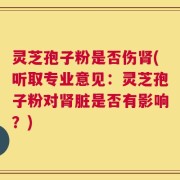 灵芝孢子粉是否伤肾(听取专业意见：灵芝孢子粉对肾脏是否有影响？)