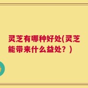 灵芝有哪种好处(灵芝能带来什么益处？)