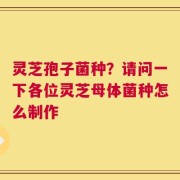 灵芝孢子菌种？请问一下各位灵芝母体菌种怎么制作