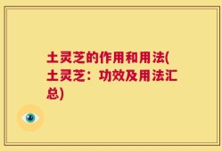 土灵芝的作用和用法(土灵芝：功效及用法汇总)