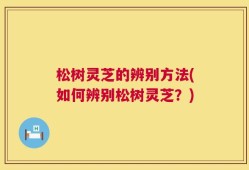 松树灵芝的辨别方法(如何辨别松树灵芝？)
