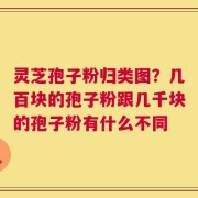 灵芝孢子粉归类图？几百块的孢子粉跟几千块的孢子粉有什么不同