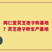 同仁堂灵芝孢子粉基地？灵芝孢子粉生产基地