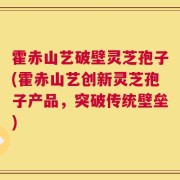 霍赤山艺破壁灵芝孢子(霍赤山艺创新灵芝孢子产品，突破传统壁垒)