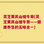 灵芝黄芪山楂牛蒡(灵芝黄芪山楂牛蒡——健康养生的五味合一)