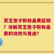 灵芝孢子粉和桑黄区别？详解灵芝孢子粉和桑黄的功效与用途？