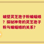 破壁灵芝孢子粉蝙蝠蛾？探秘神奇的灵芝孢子粉与蝙蝠蛾的关系？