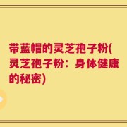 带蓝帽的灵芝孢子粉(灵芝孢子粉：身体健康的秘密)