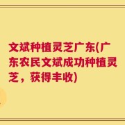 文斌种植灵芝广东(广东农民文斌成功种植灵芝，获得丰收)