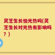 灵芝生长怕光热吗(灵芝生长对光热有影响吗？)