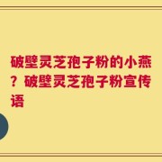 破壁灵芝孢子粉的小燕？破壁灵芝孢子粉宣传语