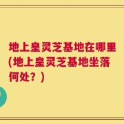 地上皇灵芝基地在哪里(地上皇灵芝基地坐落何处？)