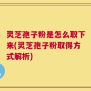灵芝孢子粉是怎么取下来(灵芝孢子粉取得方式解析)