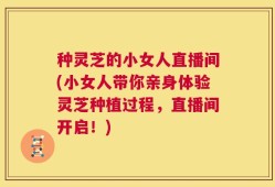 种灵芝的小女人直播间(小女人带你亲身体验灵芝种植过程，直播间开启！)
