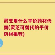 灵芝用什么平价药材代替(灵芝可替代的平价药材推荐)