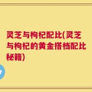 灵芝与枸杞配比(灵芝与枸杞的黄金搭档配比秘籍)