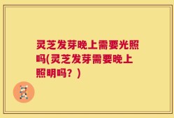 灵芝发芽晚上需要光照吗(灵芝发芽需要晚上照明吗？)